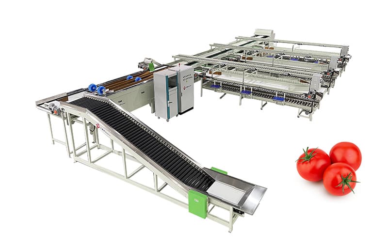 images/1710922464057tomato  sorting packing machine.jpg